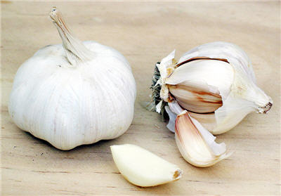 خواص و فواید درمانی و داروئی و پزشکی سیر garlic
